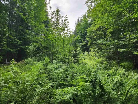 Lot 3 North Mountain Pond Road Errol NH 03579