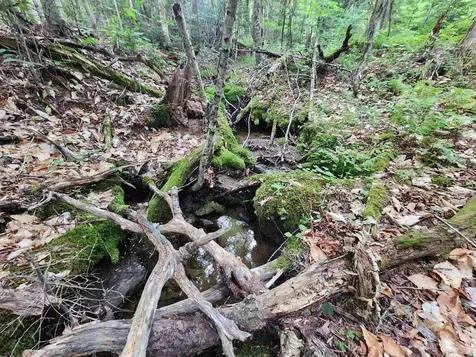Lot 3 North Mountain Pond Road Errol NH 03579
