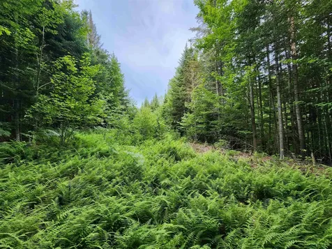 Lot 3 North Mountain Pond Road Errol NH 03579