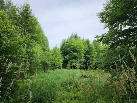 Lot 3 North Mountain Pond Road Errol NH 03579