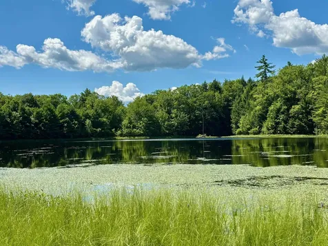 307 Burnt Hill Road Warner NH 03278