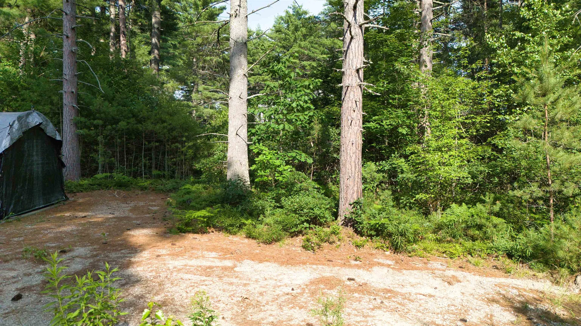 0 Ossipee Lake Road Tamworth NH 03818