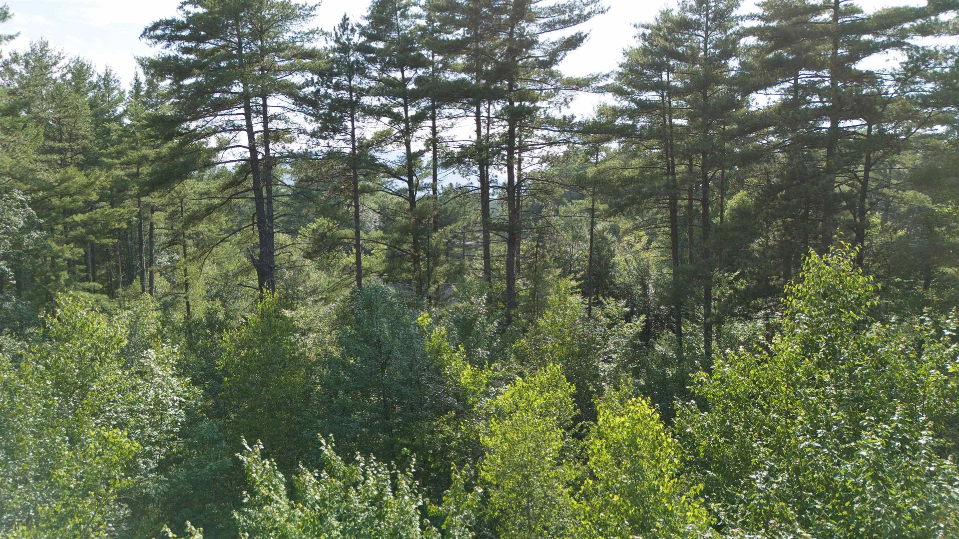 0 Ossipee Lake Road Tamworth NH 03818