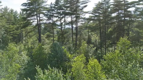 0 Ossipee Lake Road Tamworth NH 03818