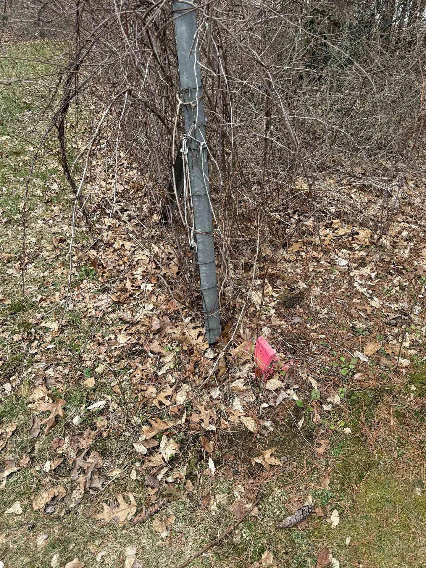 31 Haines Road Concord NH 03302