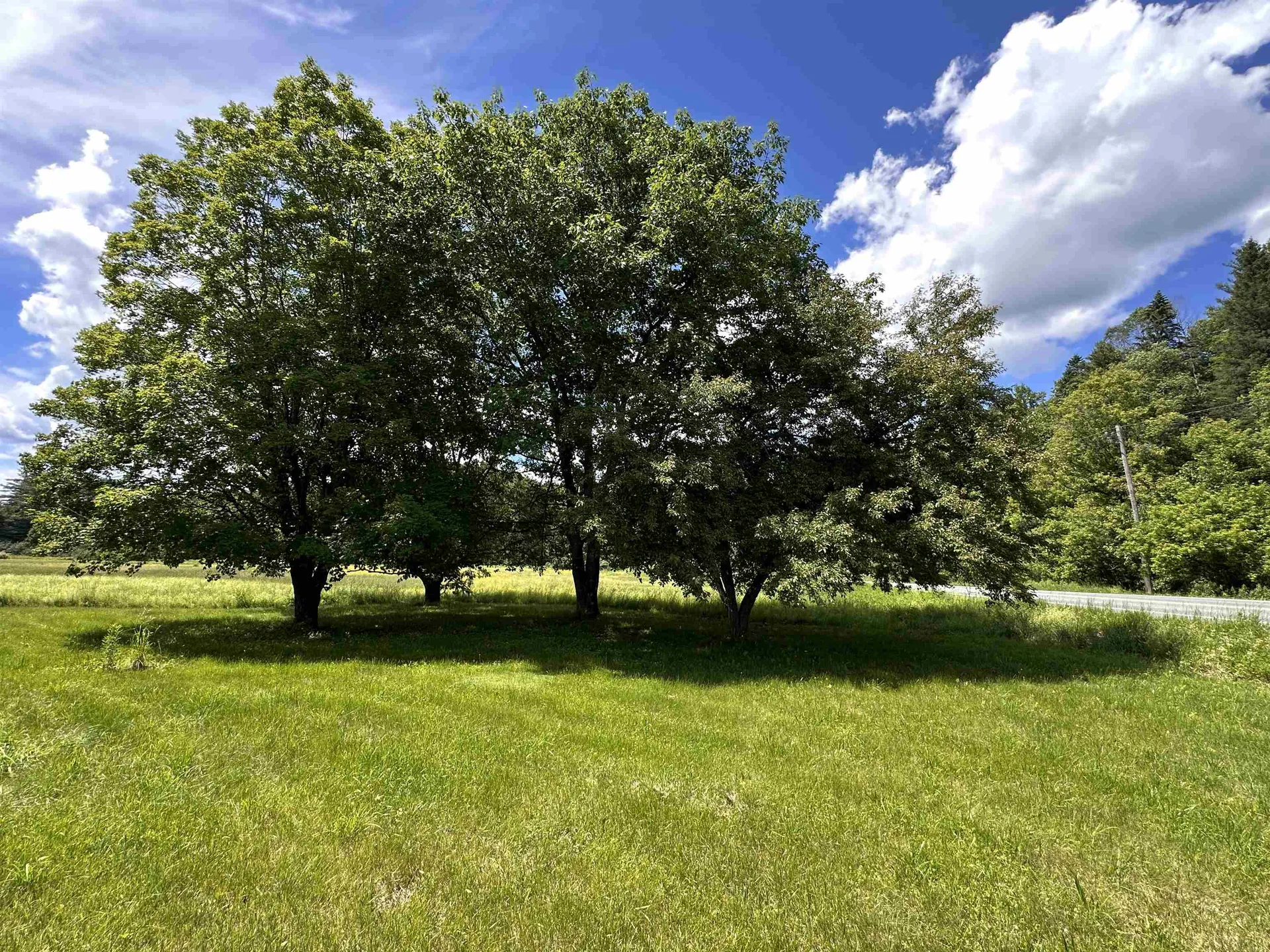 28 Stevens Loop Lyndon VT 05851