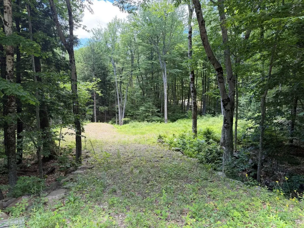 151 Red Coat Lane Stoddard NH 03464