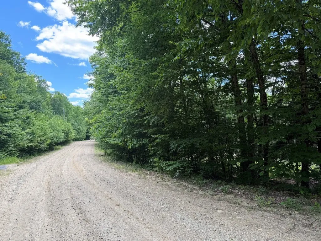 151 Red Coat Lane Stoddard NH 03464