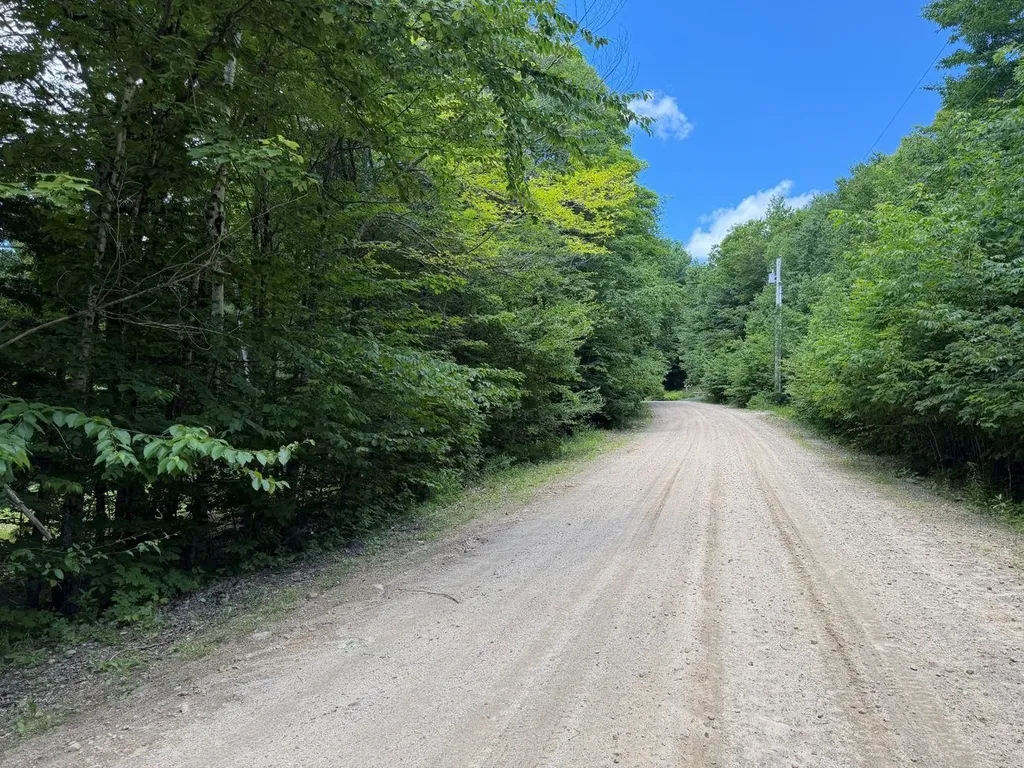 151 Red Coat Lane Stoddard NH 03464
