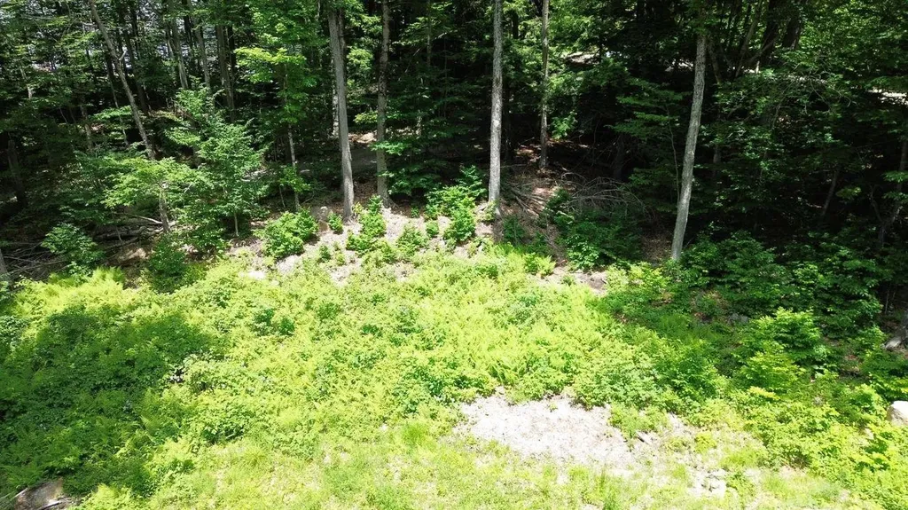 151 Red Coat Lane Stoddard NH 03464