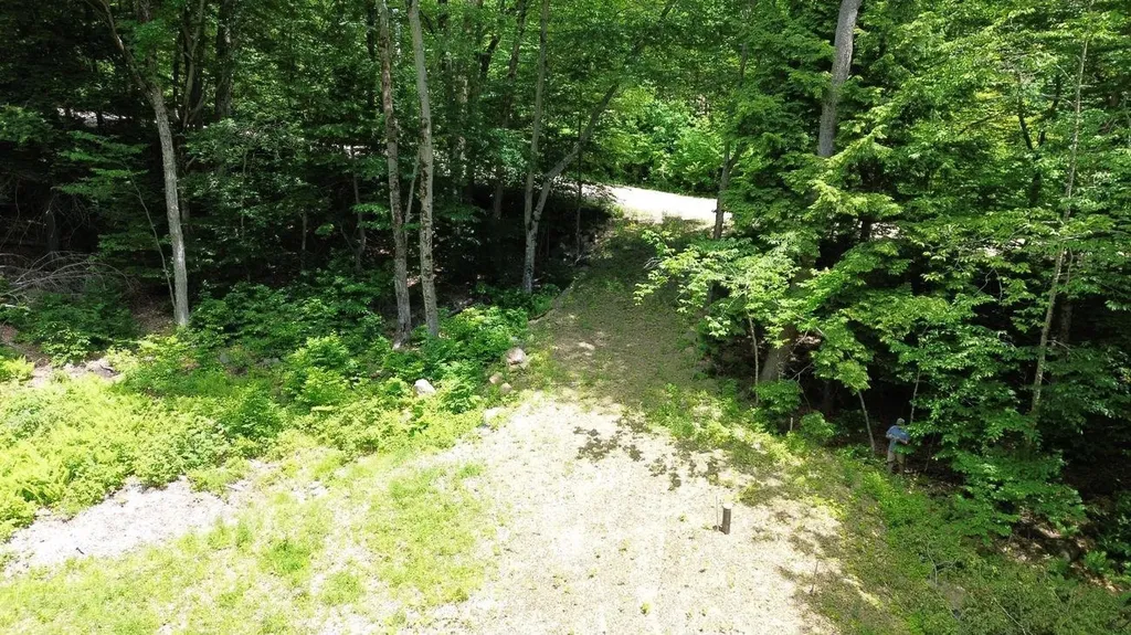 151 Red Coat Lane Stoddard NH 03464