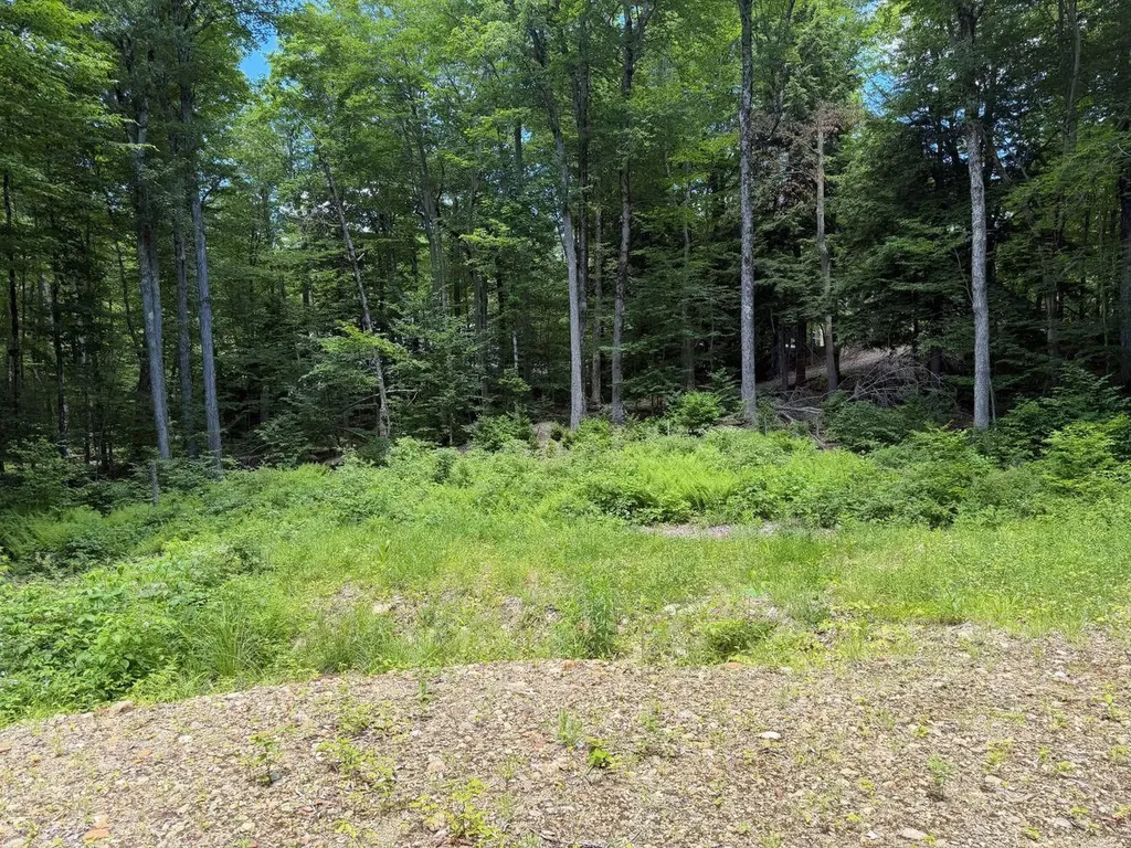 151 Red Coat Lane Stoddard NH 03464