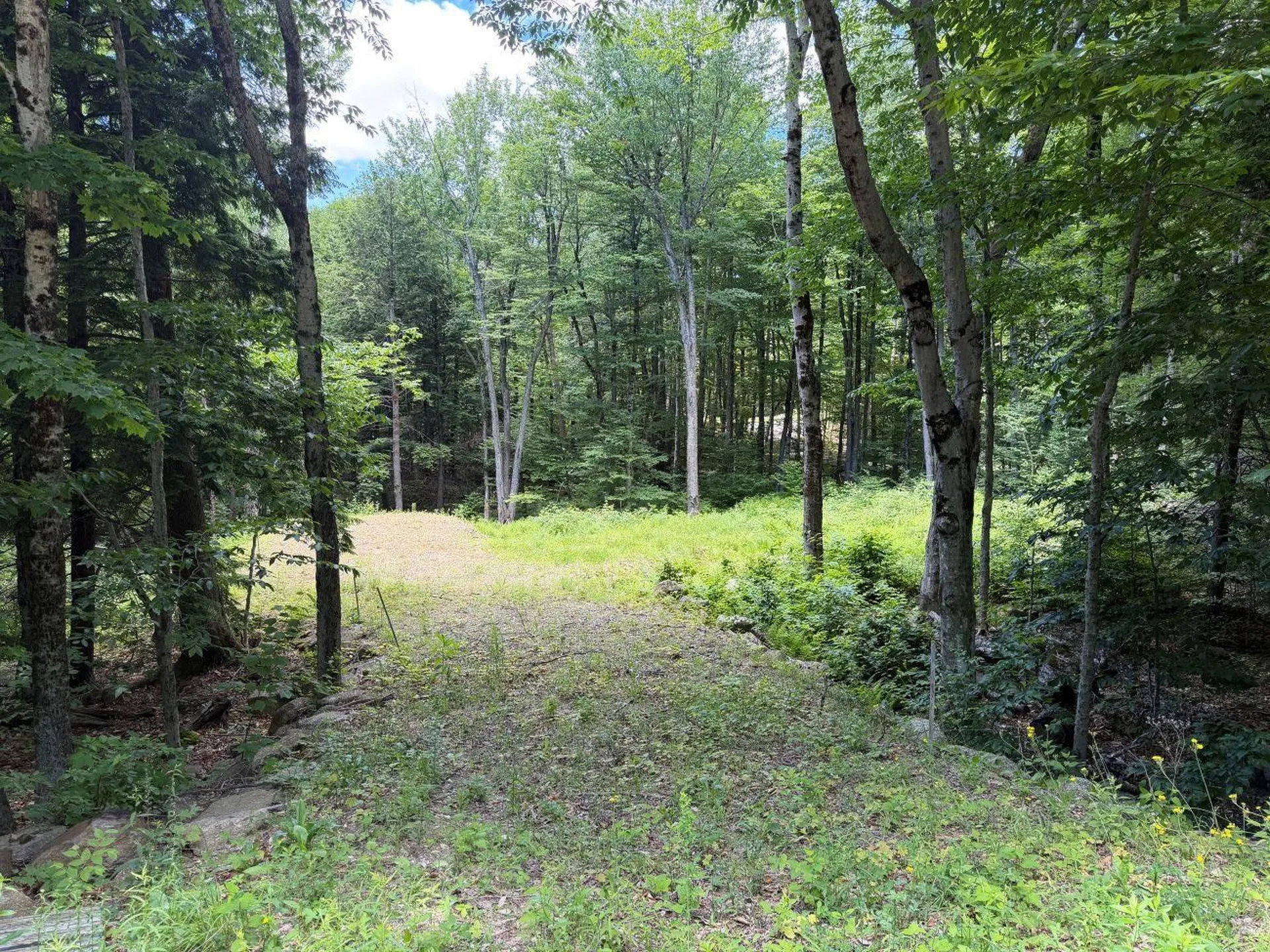 151 Red Coat Lane Stoddard NH 03464