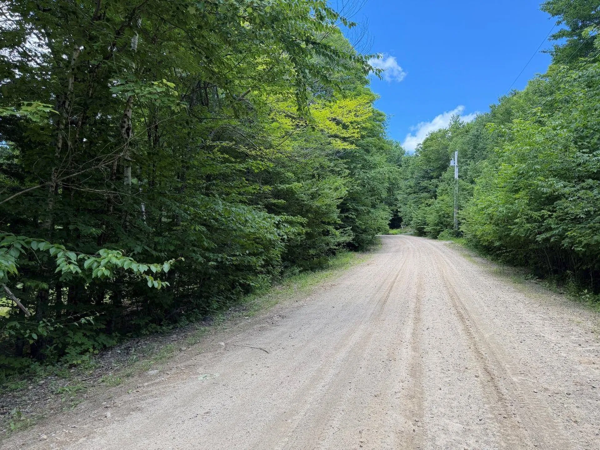 151 Red Coat Lane Stoddard NH 03464