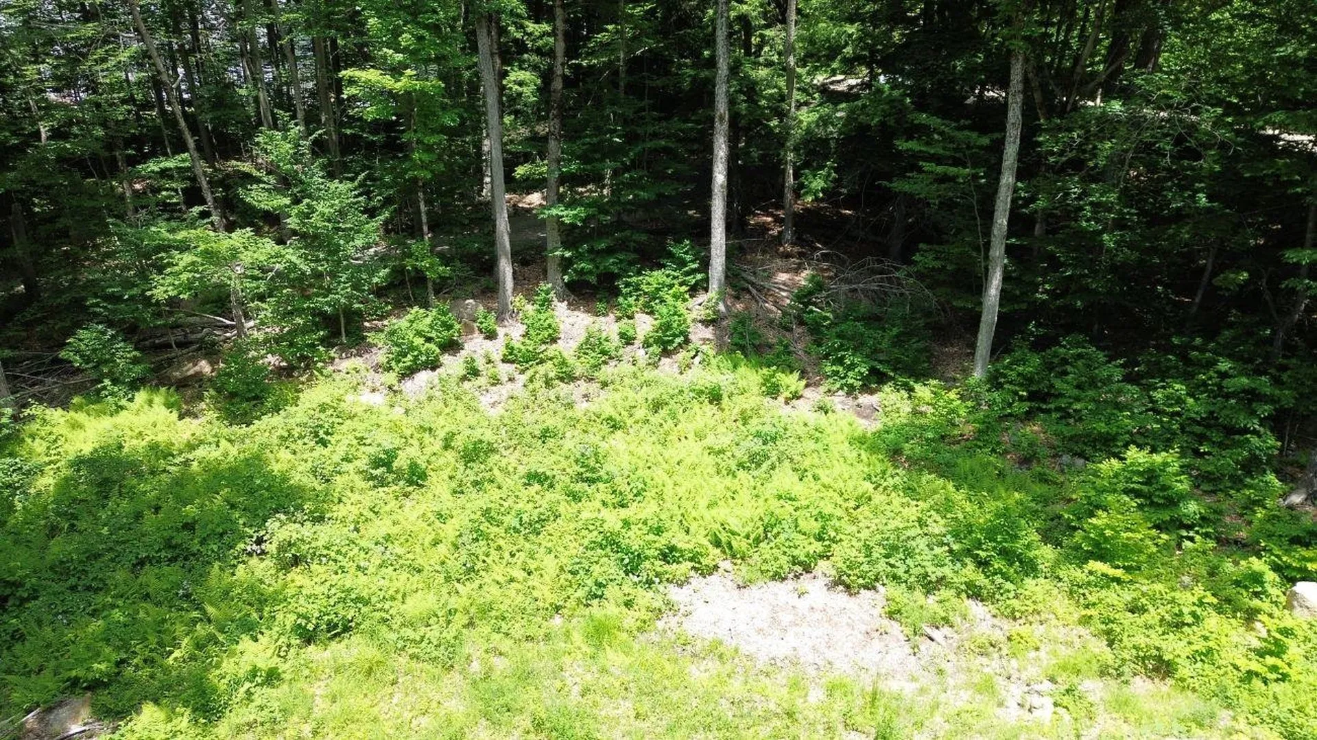 151 Red Coat Lane Stoddard NH 03464
