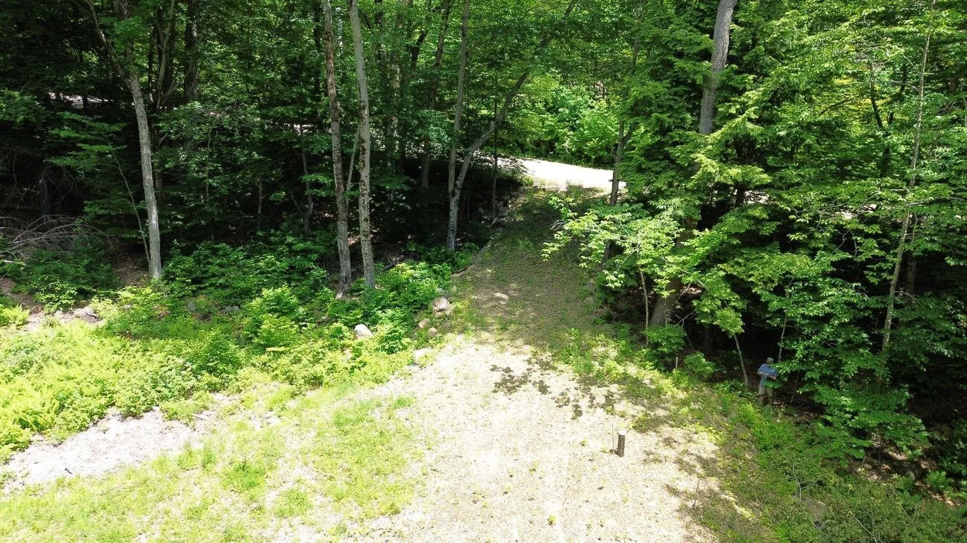 151 Red Coat Lane Stoddard NH 03464