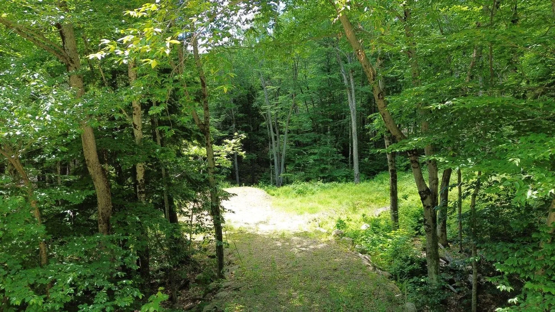 151 Red Coat Lane Stoddard NH 03464