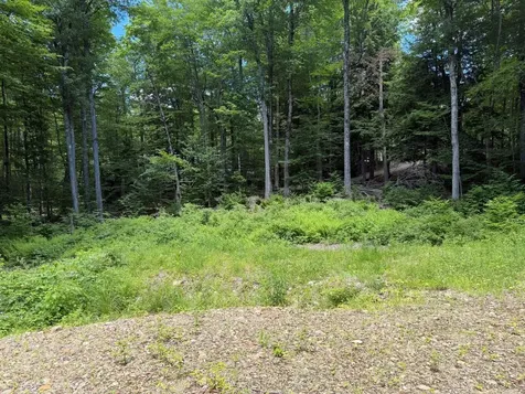 151 Red Coat Lane Stoddard NH 03464