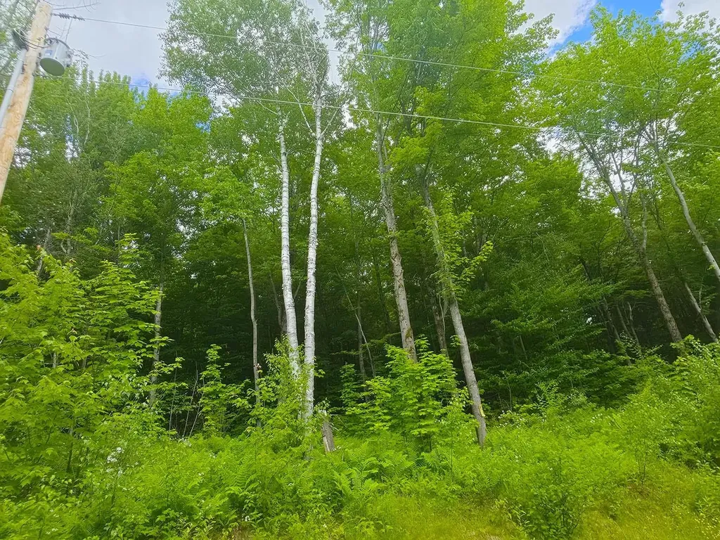 1A Lakeview Lane Elmore VT 05680