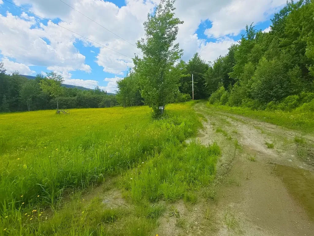 1A Lakeview Lane Elmore VT 05680