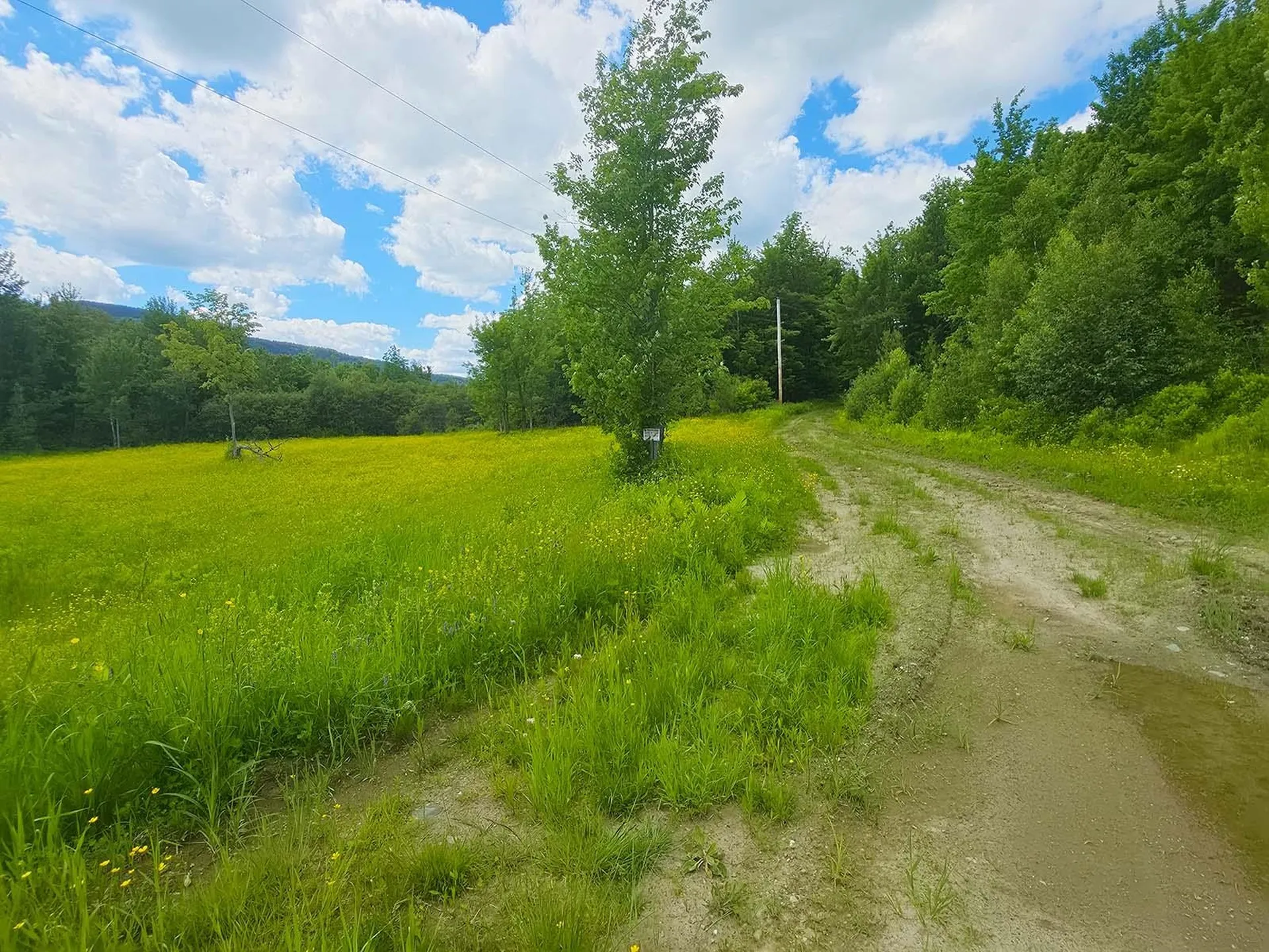 1A Lakeview Lane Elmore VT 05680