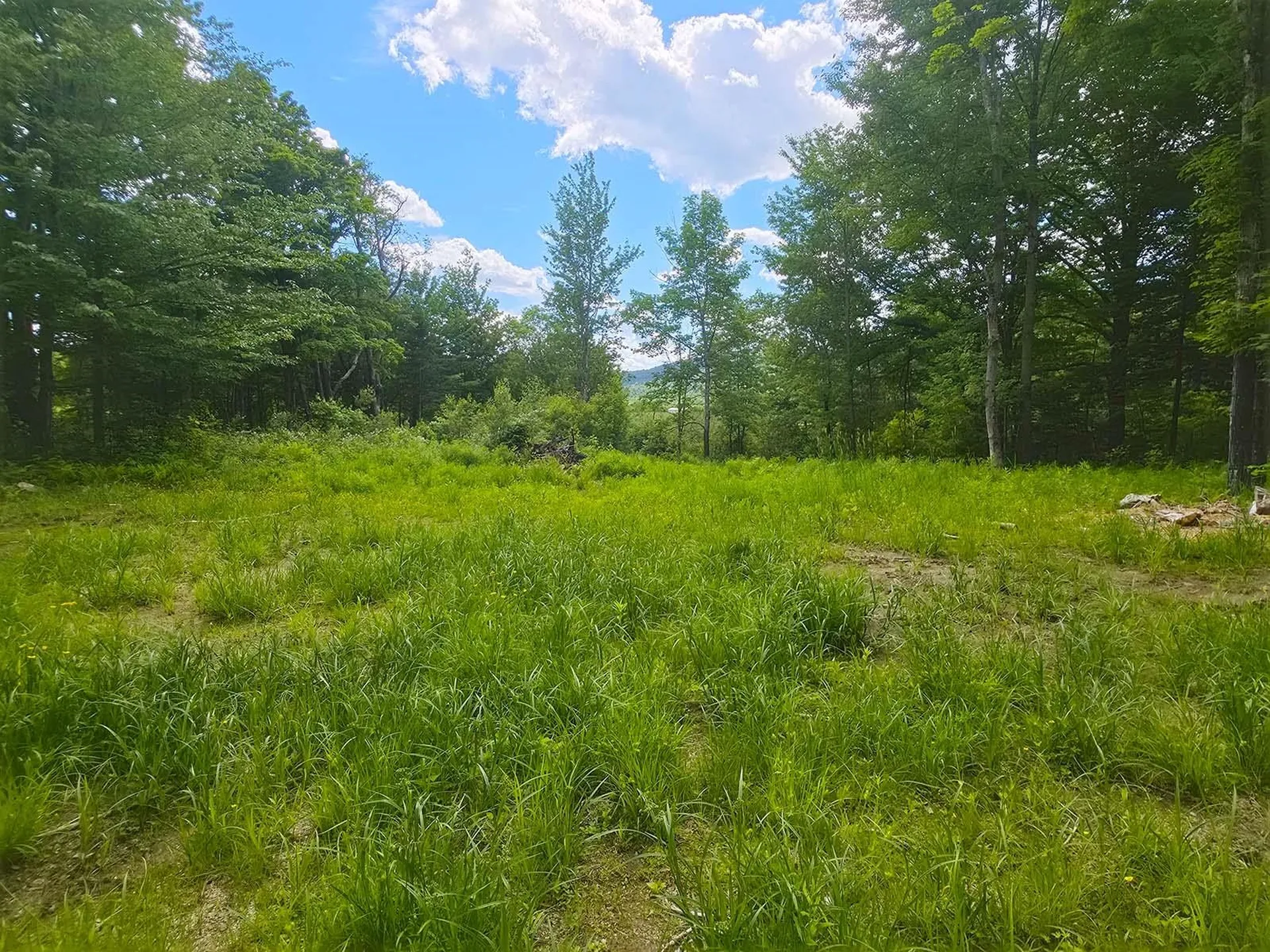 1A Lakeview Lane Elmore VT 05680
