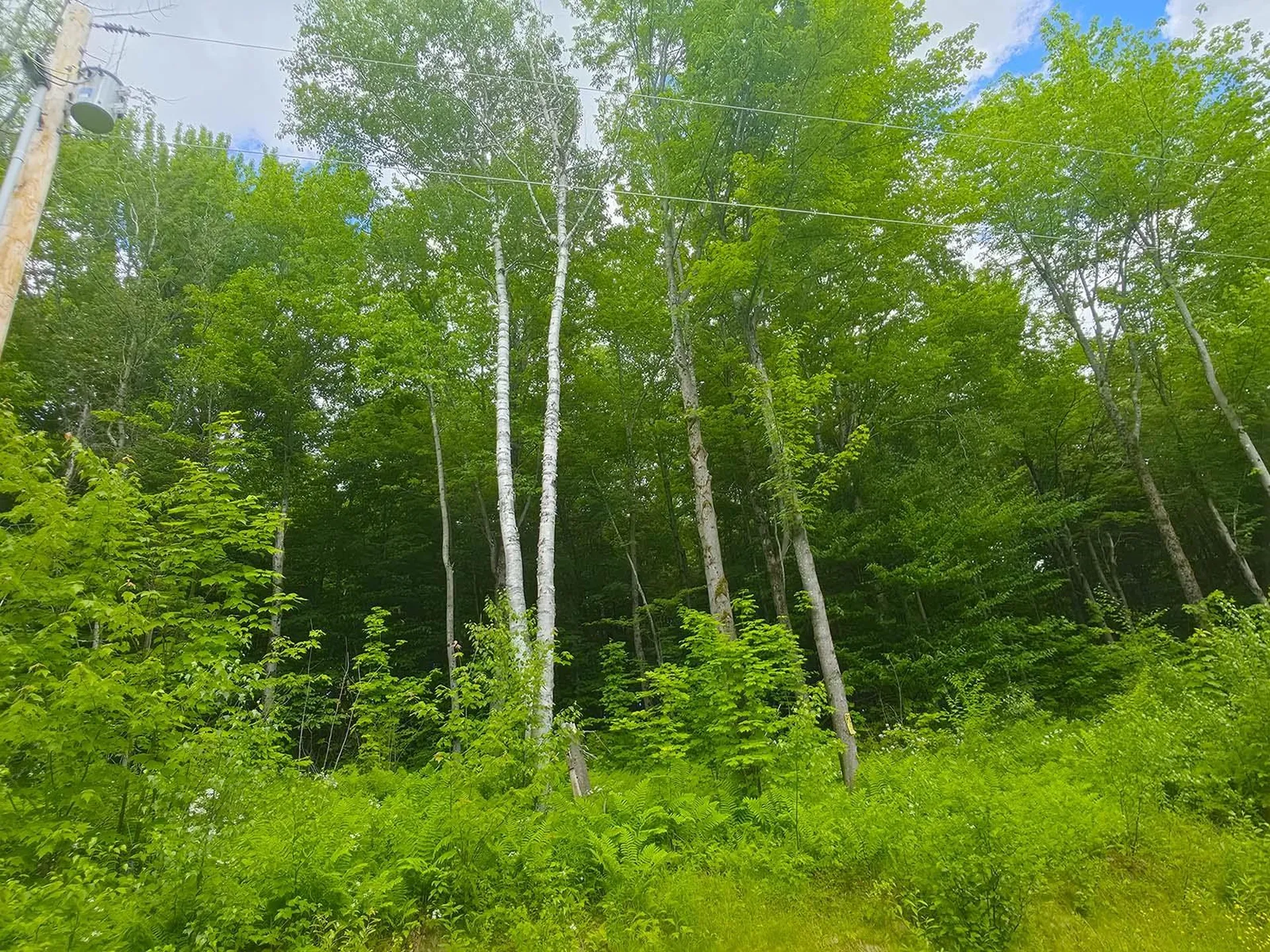 1A Lakeview Lane Elmore VT 05680