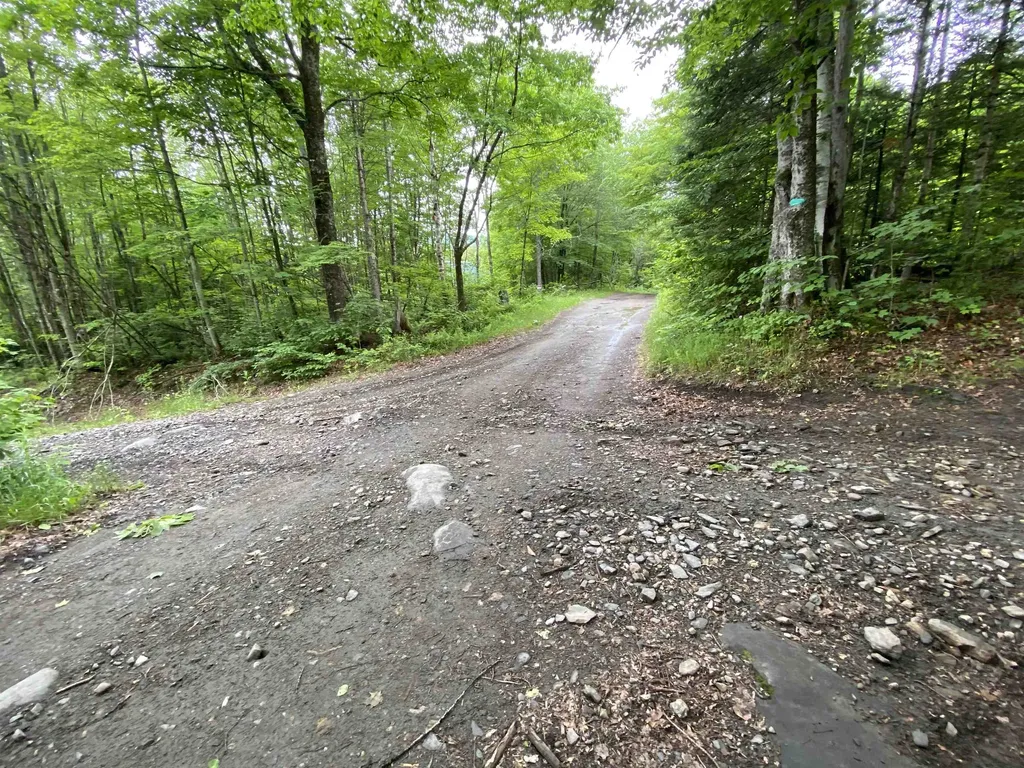230 Blodgett Road Wheelock VT 05851