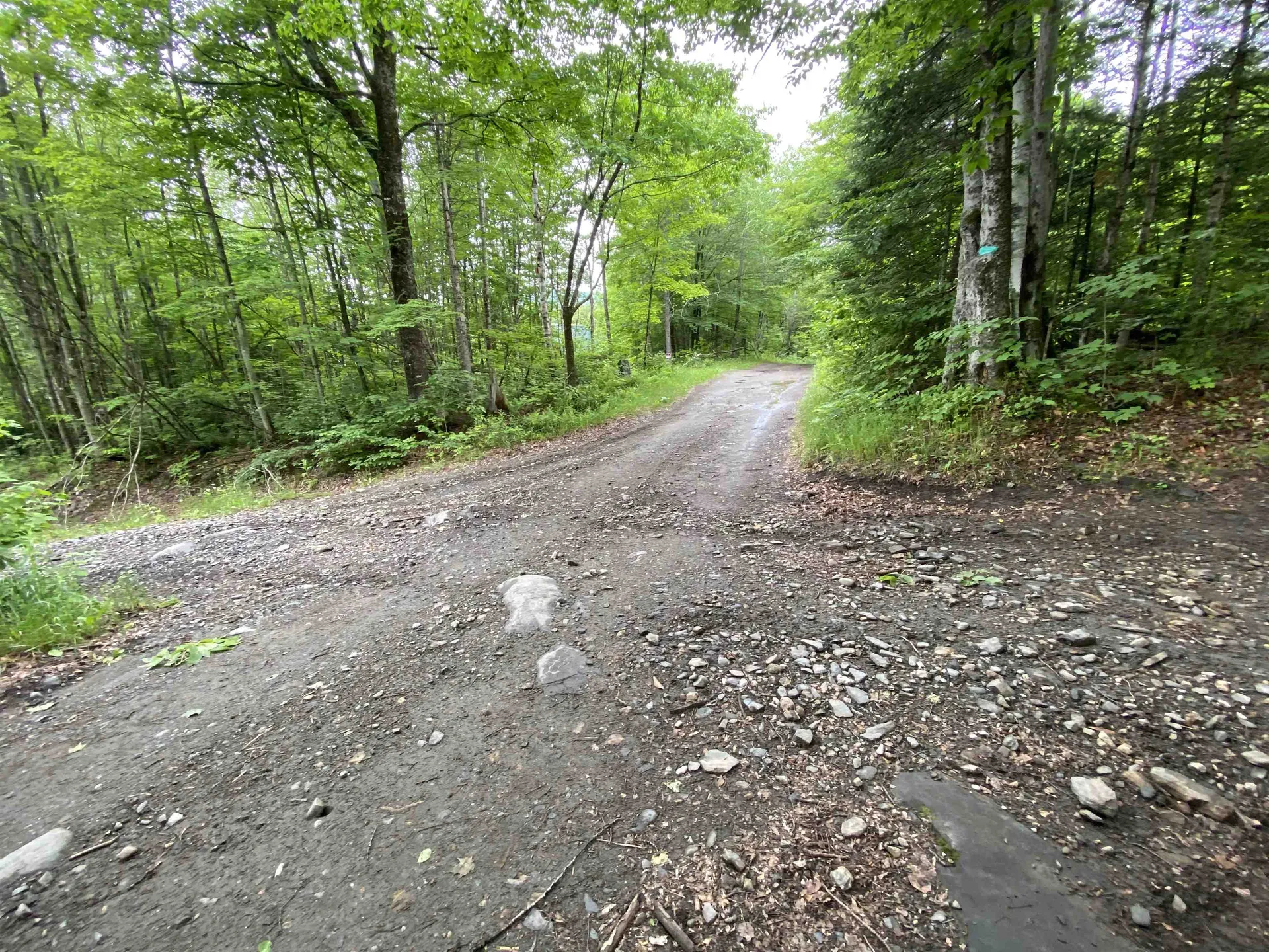 230 Blodgett Road Wheelock VT 05851