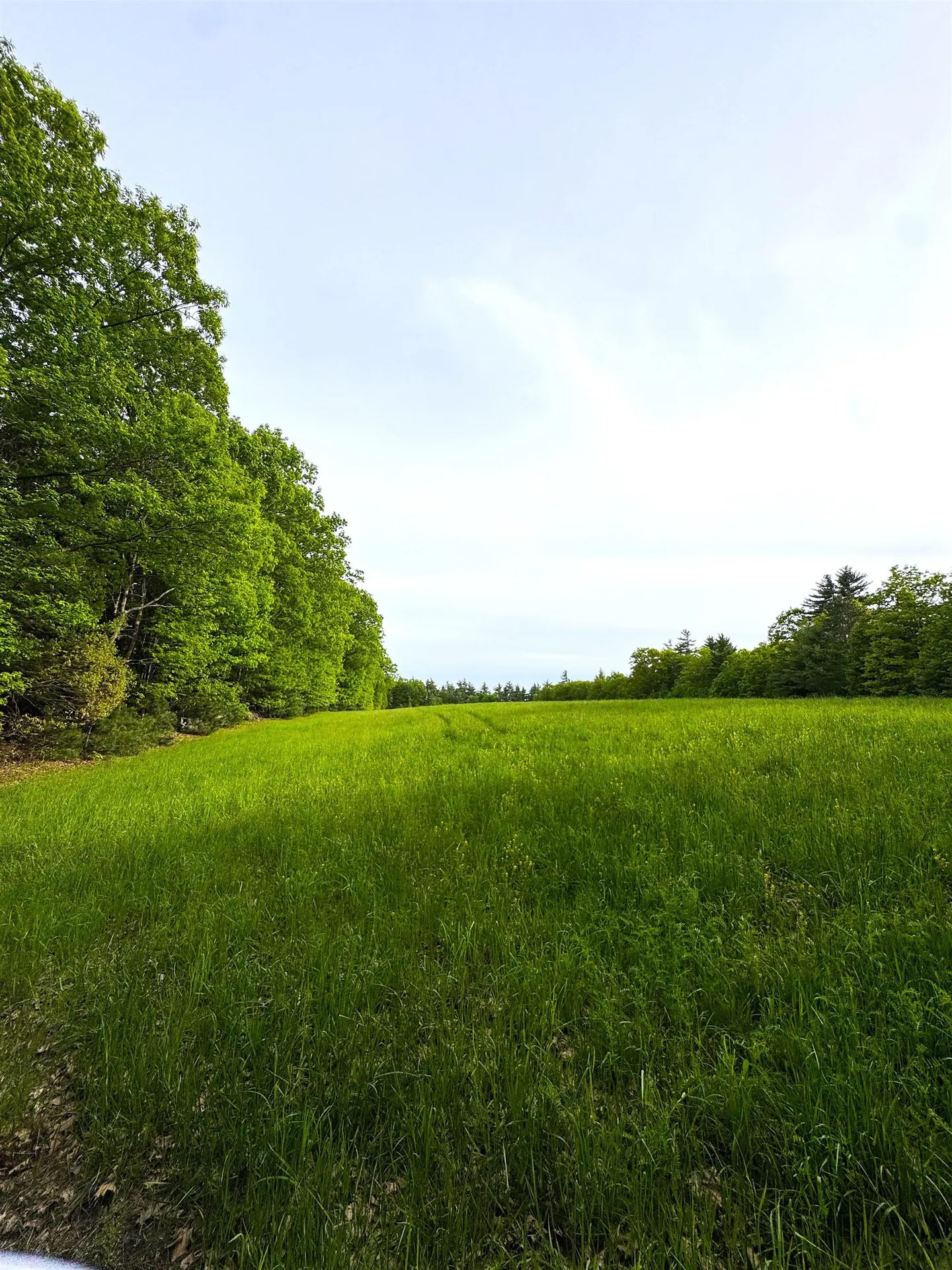 107 Greenfield Road New Boston NH 03070