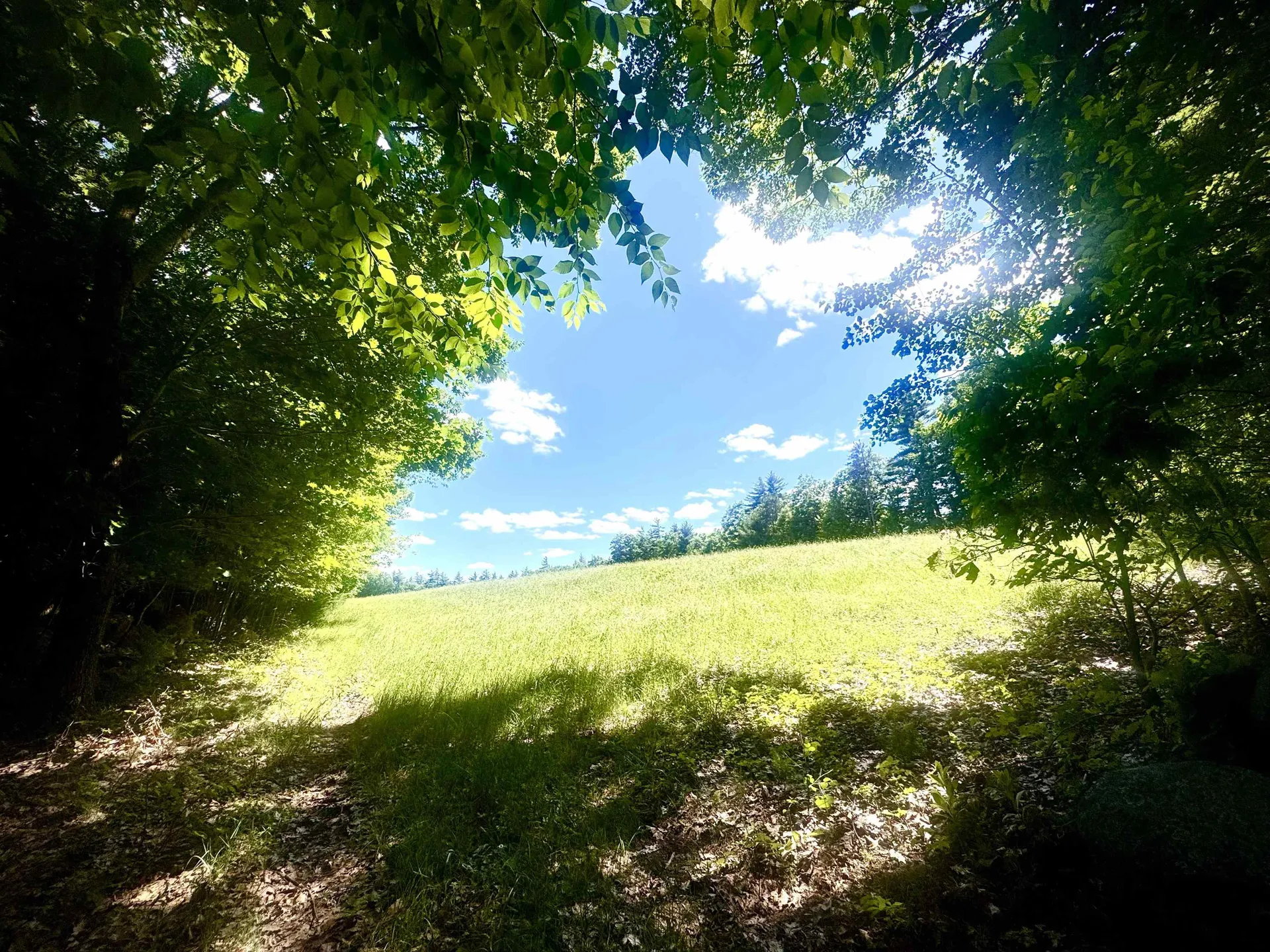107 Greenfield Road New Boston NH 03070