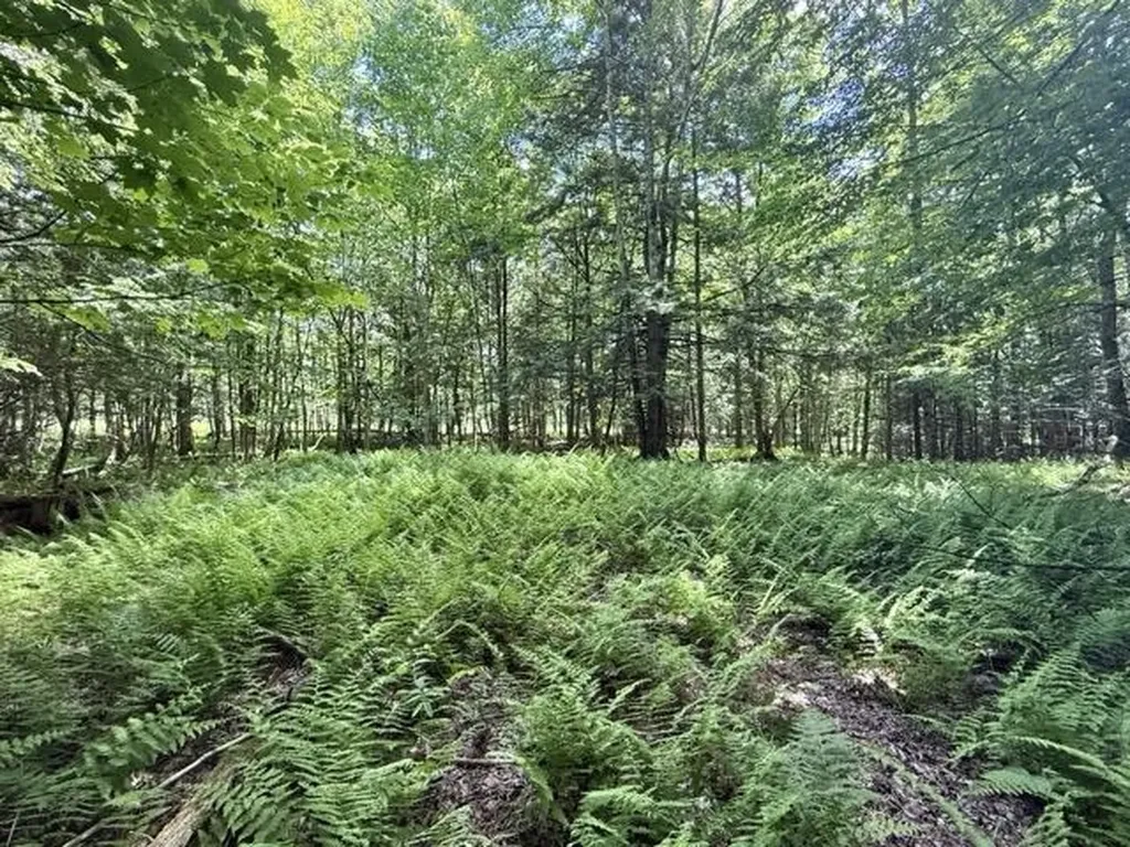 00 Battle Row Road Hyde Park VT 05656
