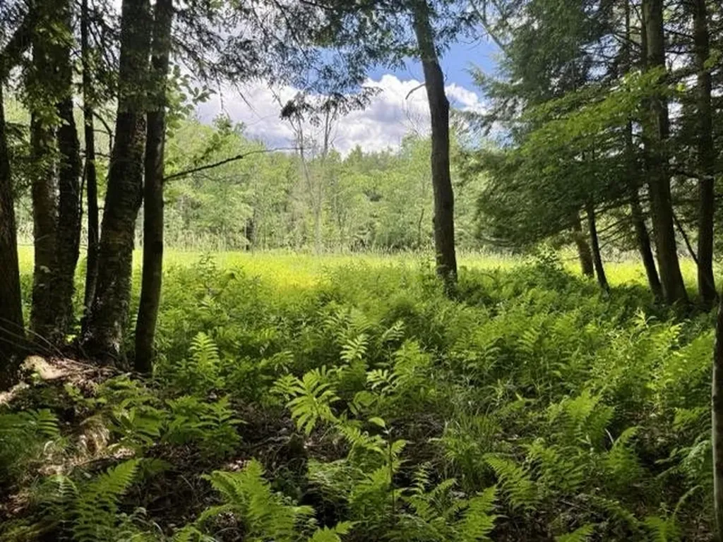 00 Battle Row Road Hyde Park VT 05656