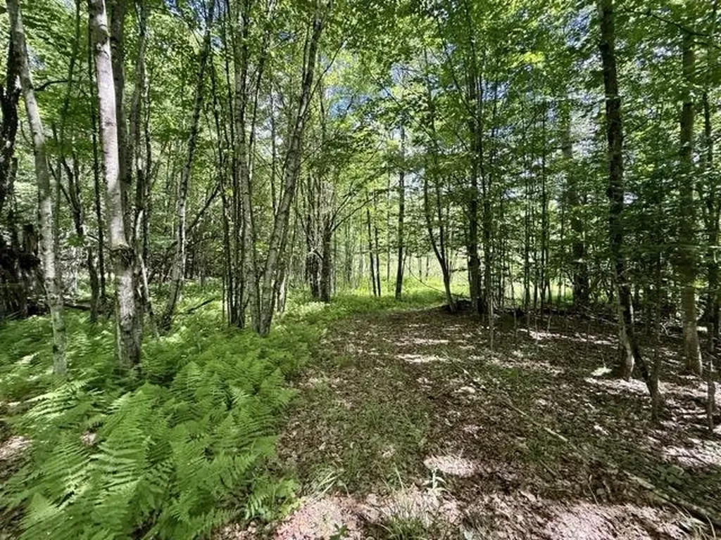 00 Battle Row Road Hyde Park VT 05656