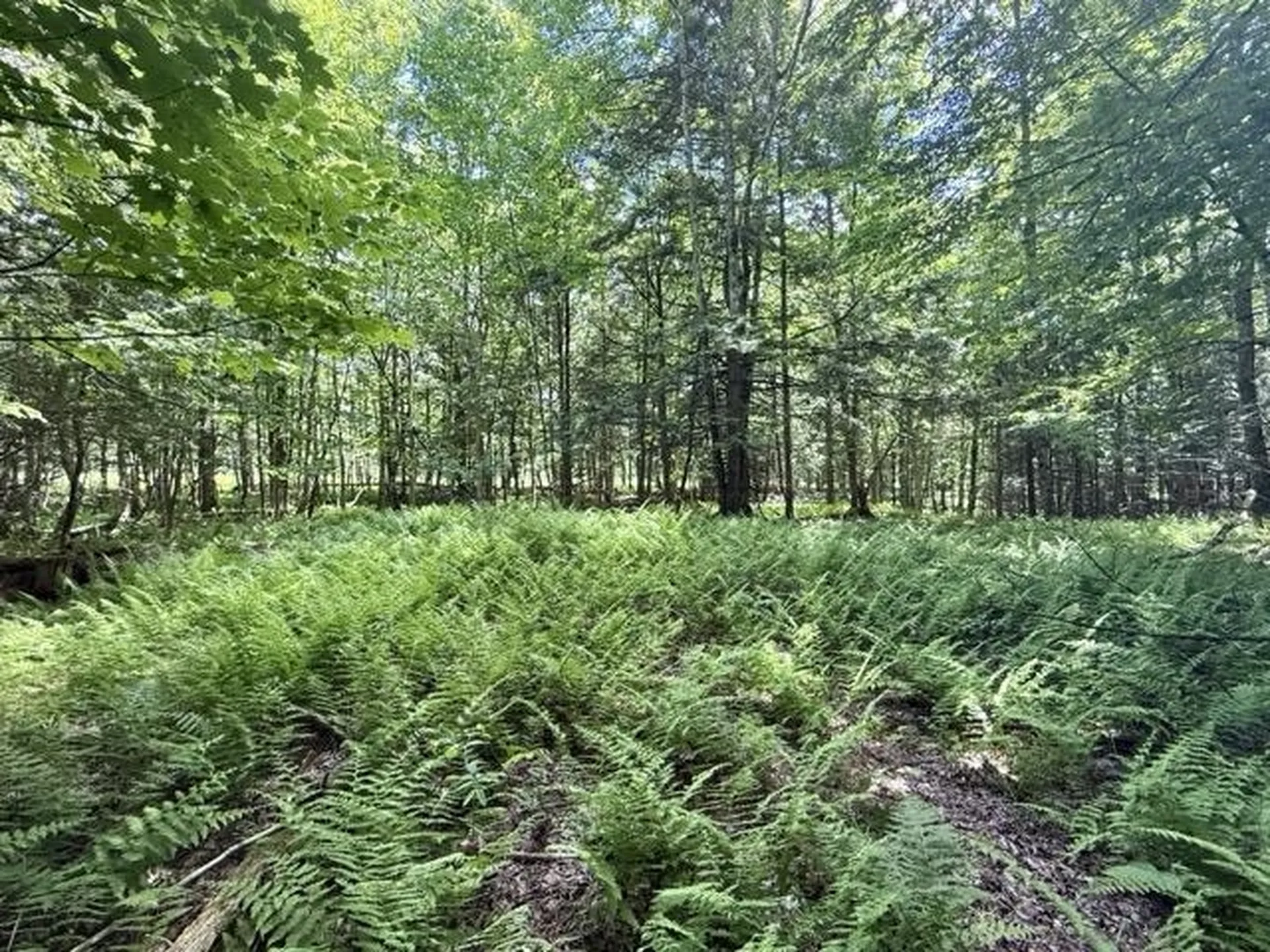 00 Battle Row Road Hyde Park VT 05656