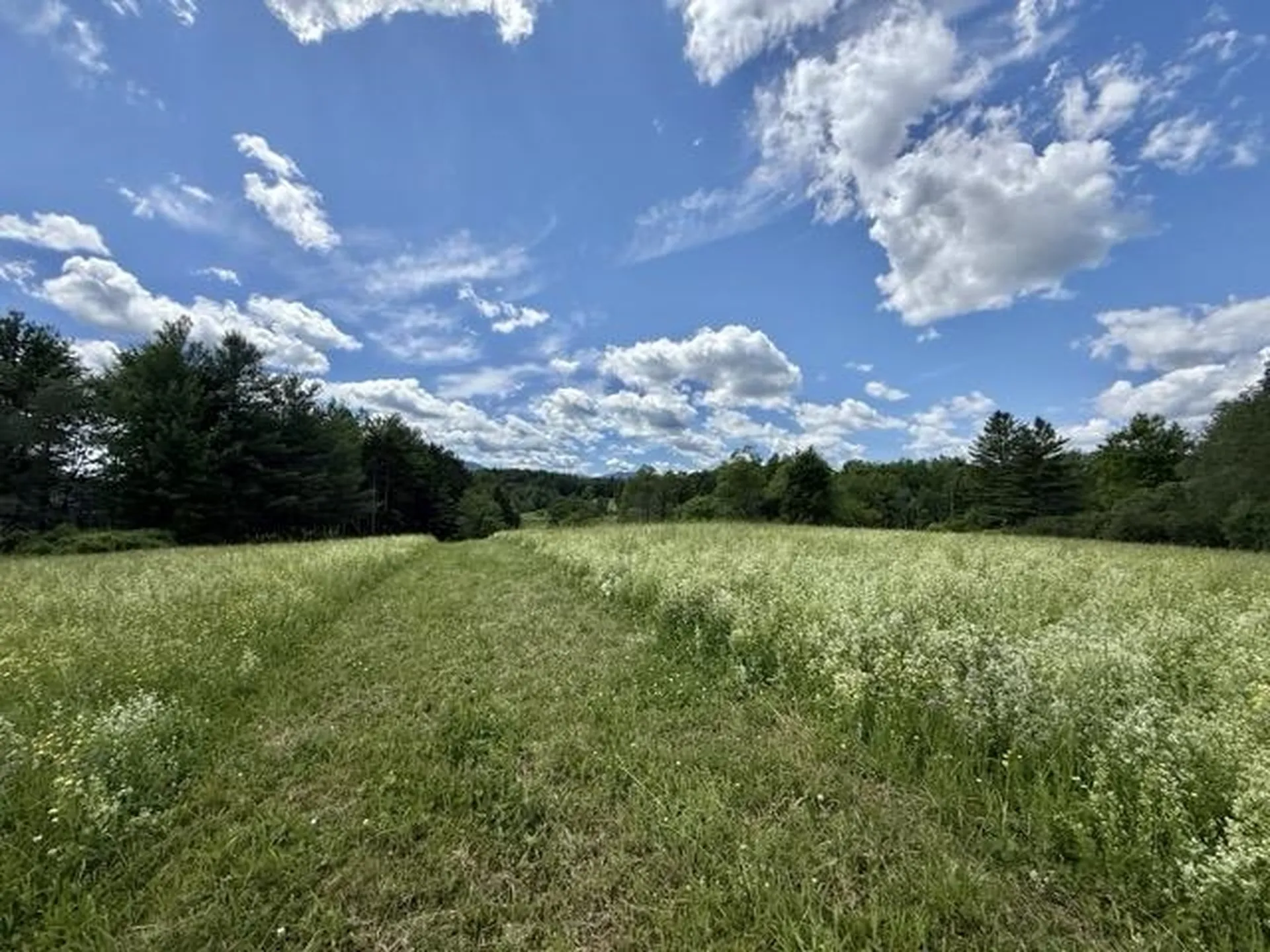 00 Battle Row Road Hyde Park VT 05656
