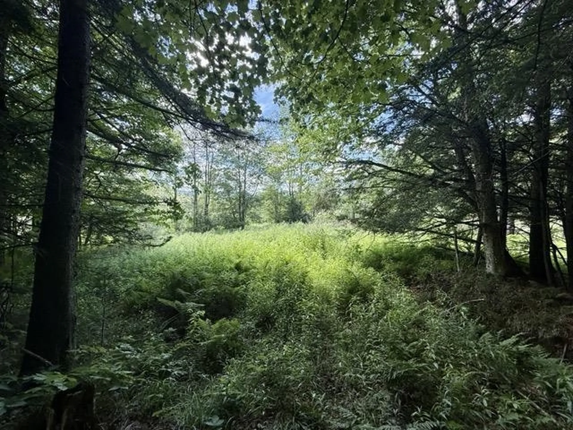 00 Battle Row Road Hyde Park VT 05656