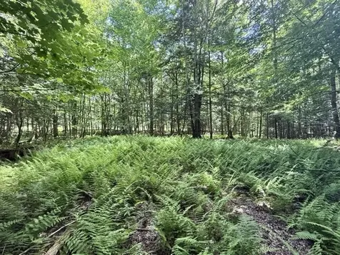 00 Battle Row Road Hyde Park VT 05656