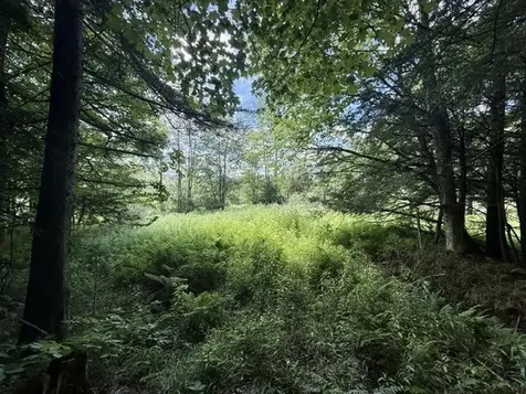 00 Battle Row Road Hyde Park VT 05656