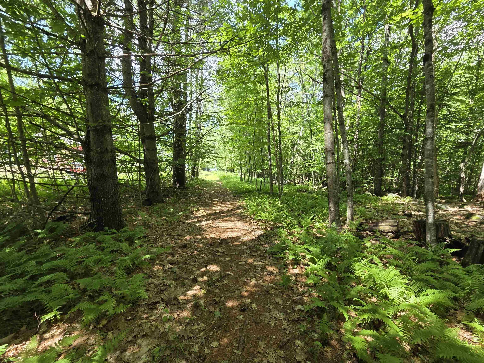 372 Canaan Street Canaan NH 03741
