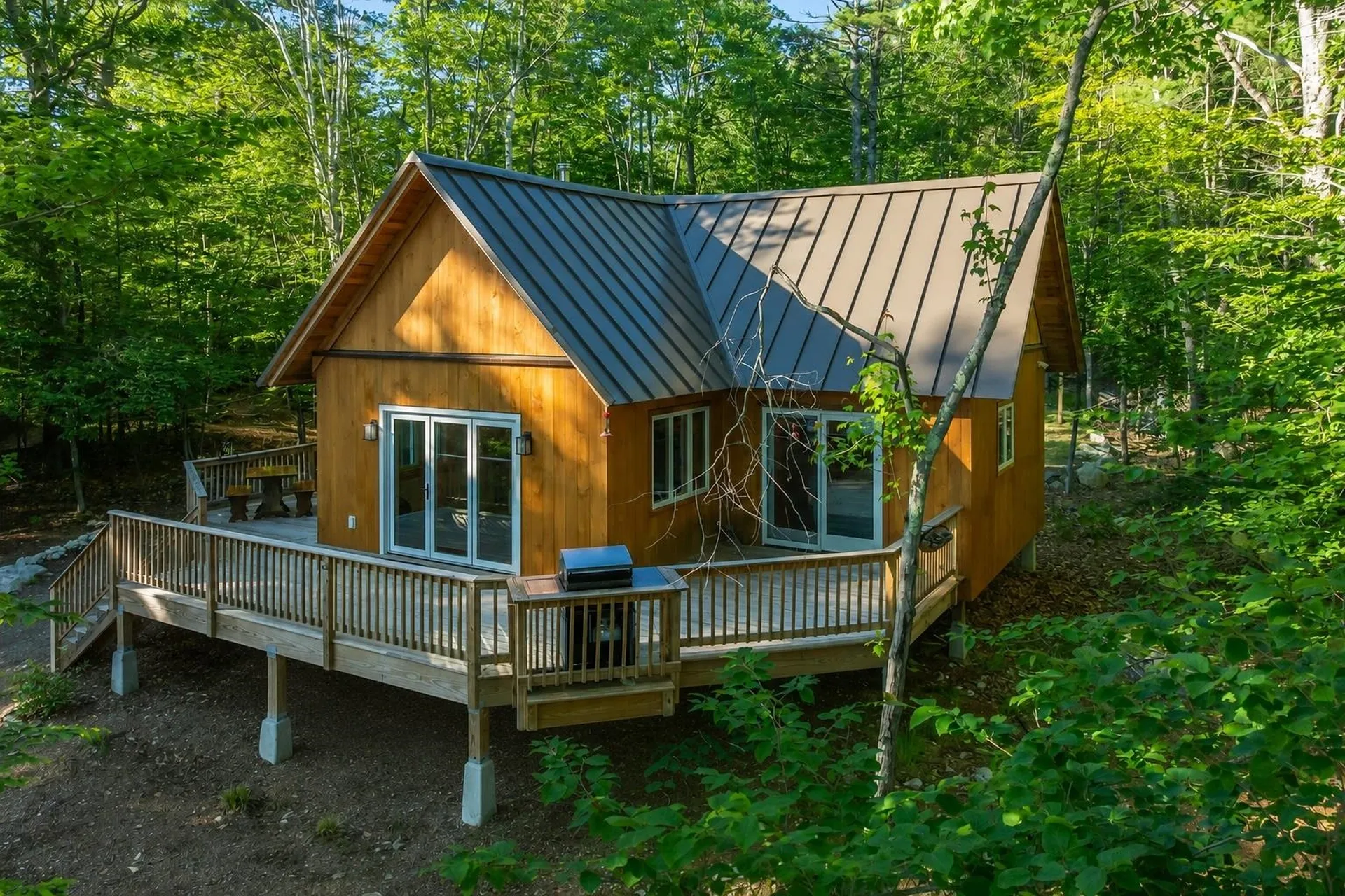 116 Big Barndoor Island Alton NH 03810
