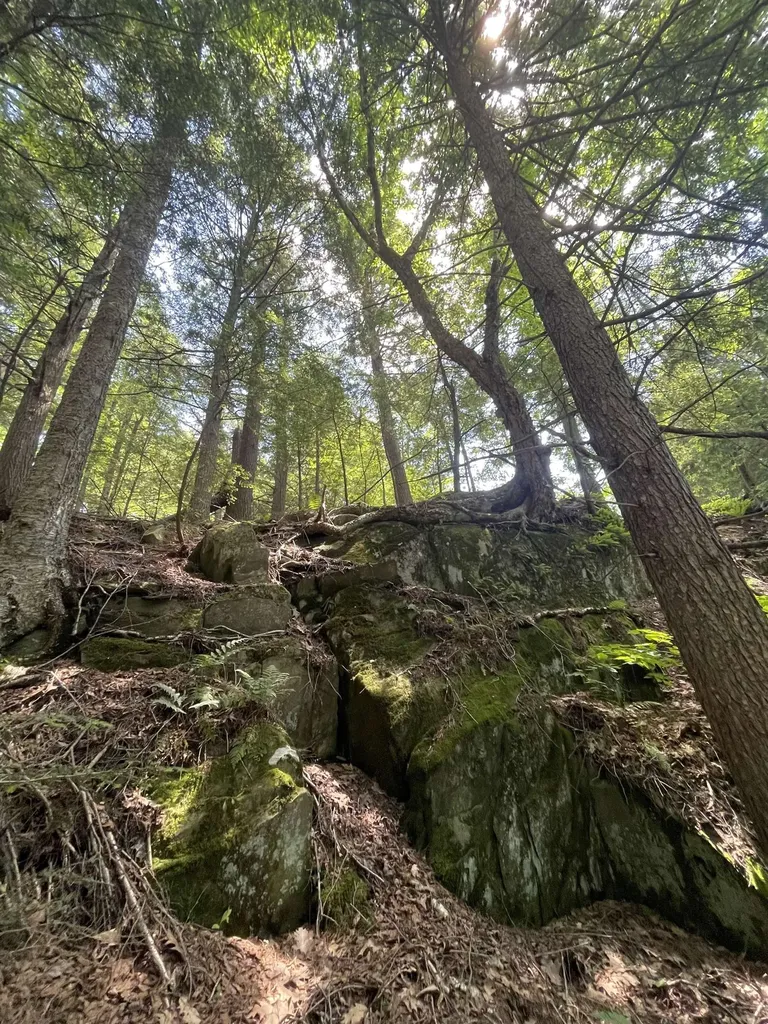 10 Castle Hill Lane Westford VT 05494