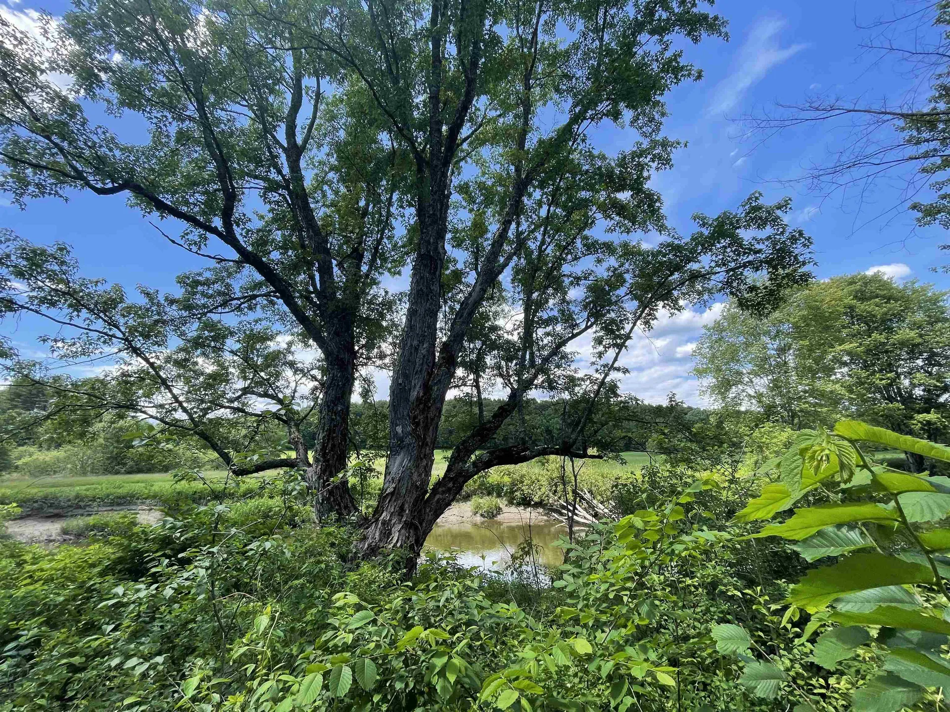 10 Castle Hill Lane Westford VT 05494