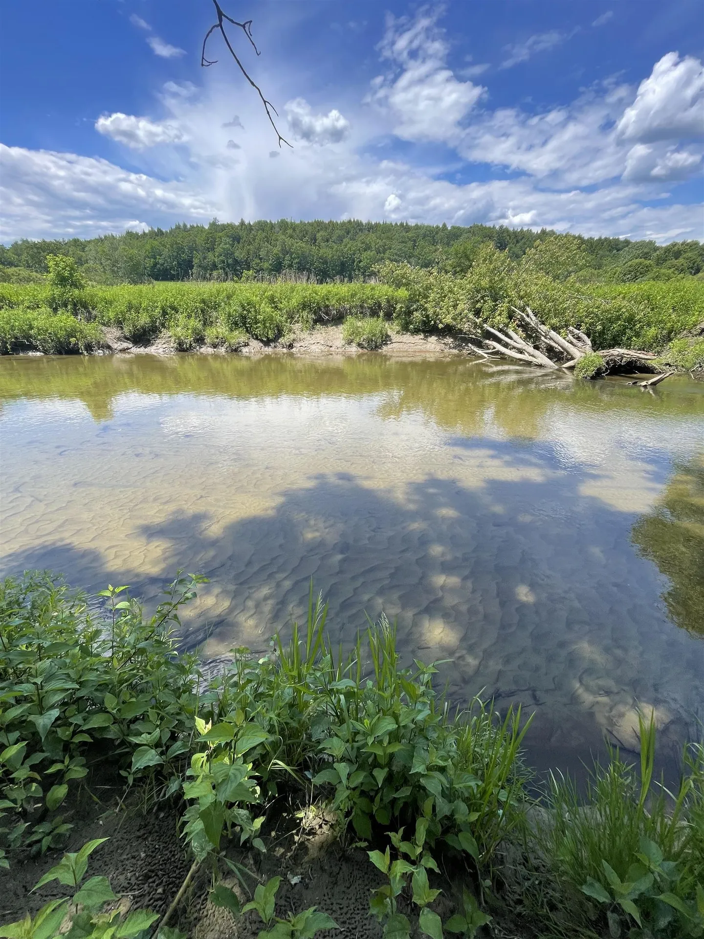 10 Castle Hill Lane Westford VT 05494
