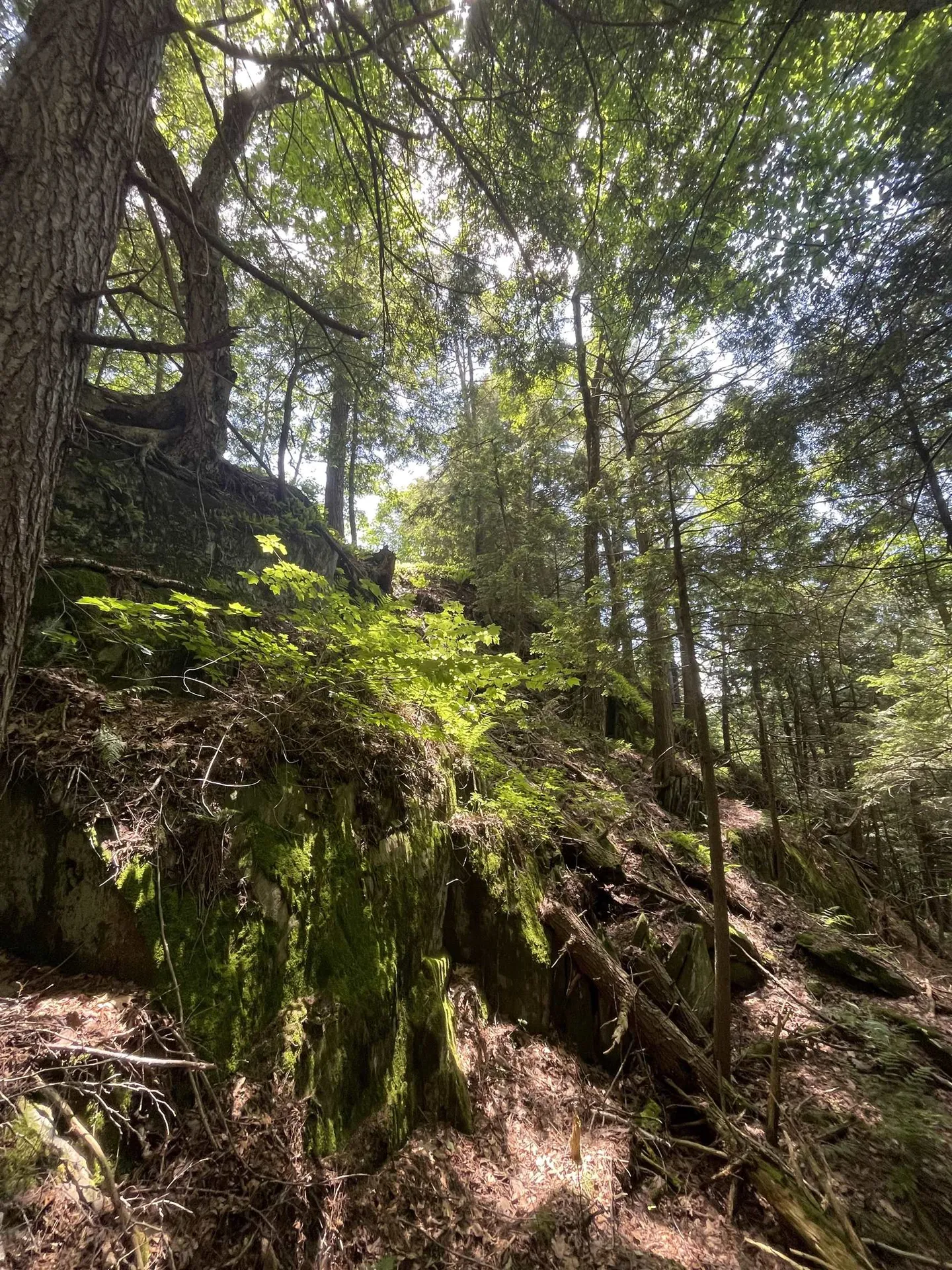 10 Castle Hill Lane Westford VT 05494