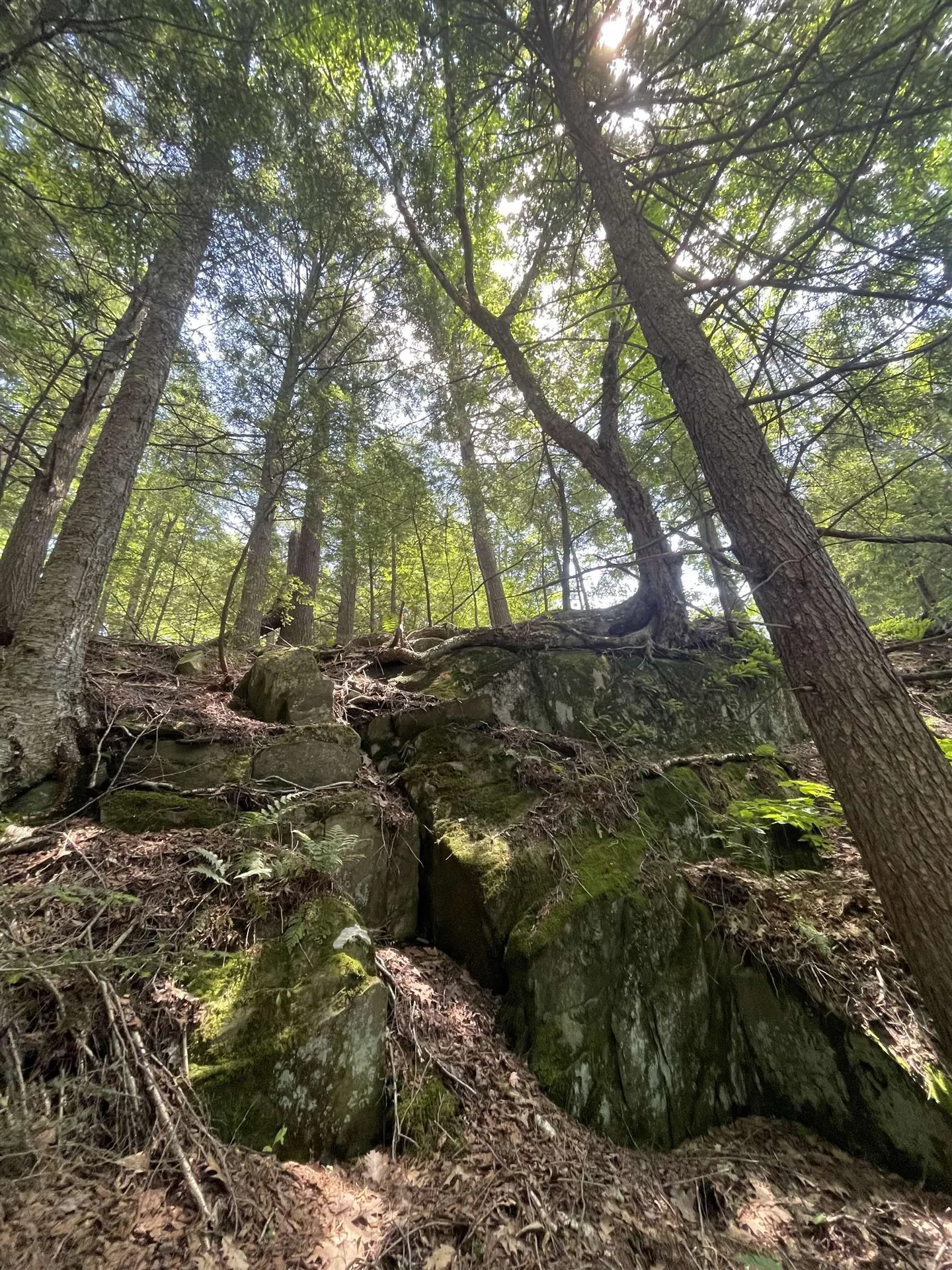 10 Castle Hill Lane Westford VT 05494
