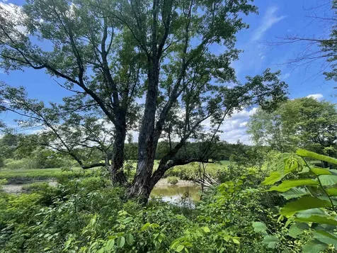 10 Castle Hill Lane Westford VT 05494
