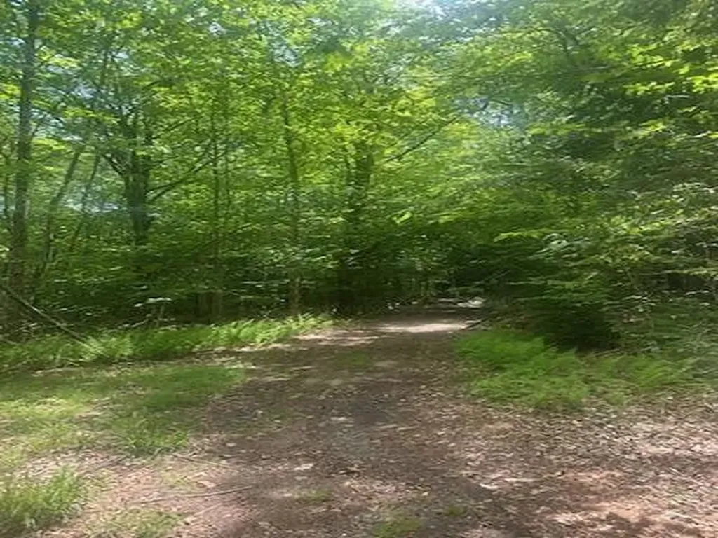 115 Deer Path Lane Bridgewater NH 03222