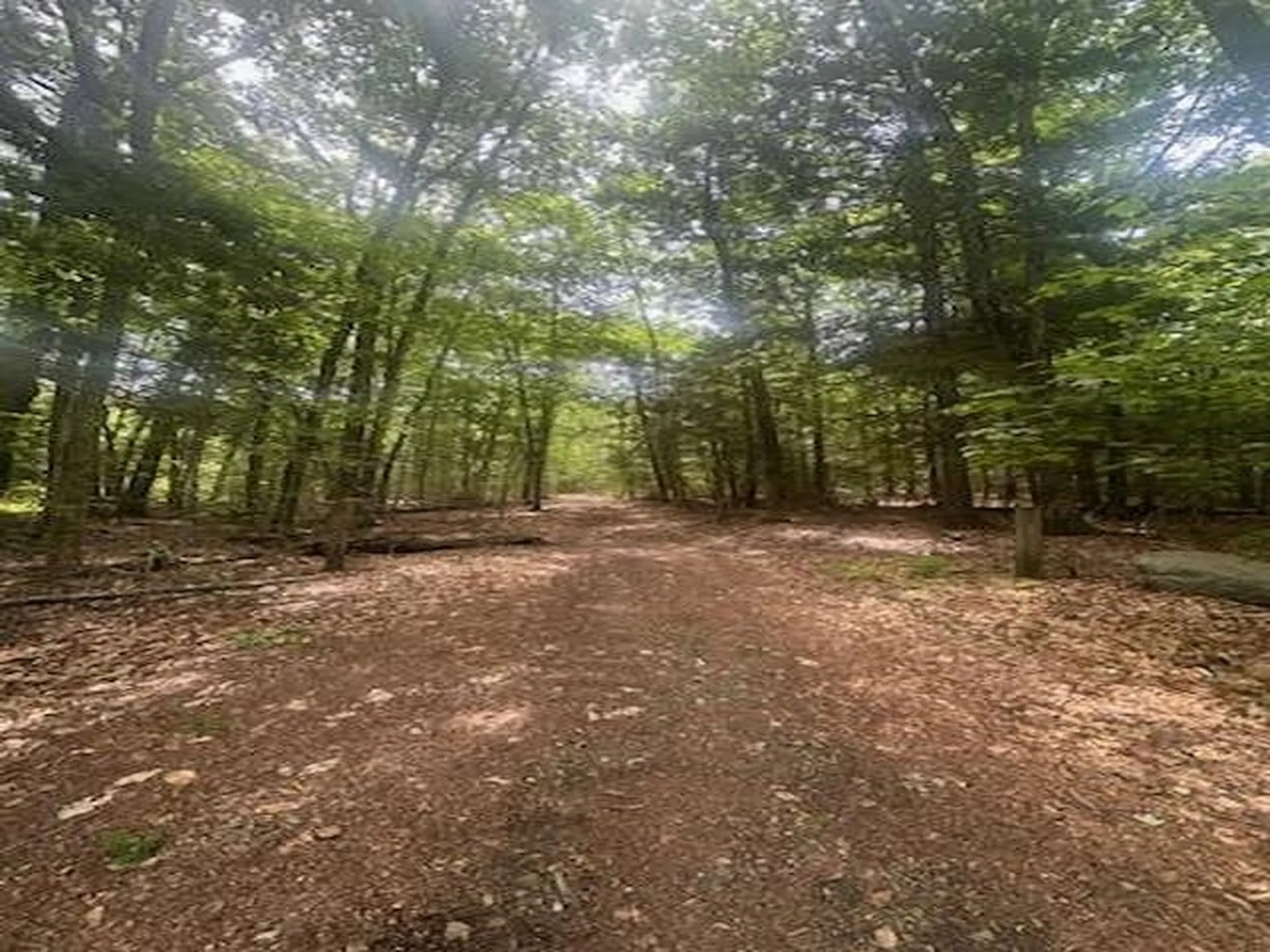 115 Deer Path Lane Bridgewater NH 03222