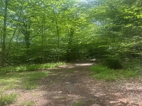 115 Deer Path Lane Bridgewater NH 03222